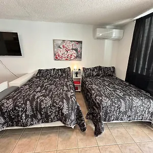  Apartment Beachfront W/ Full Kitchen & Pool Puerto Rico